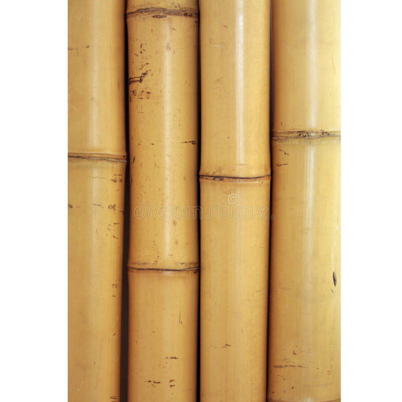 GUADUA 3 METROS X UNIDAD